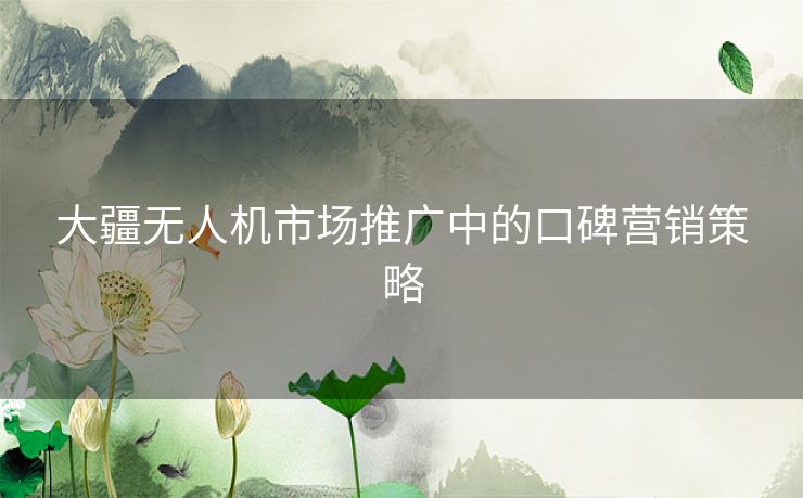 大疆无人机市场推广中的口碑营销策略