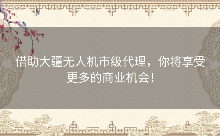 借助大疆无人机市级代理，你将享受更多的商业机会！