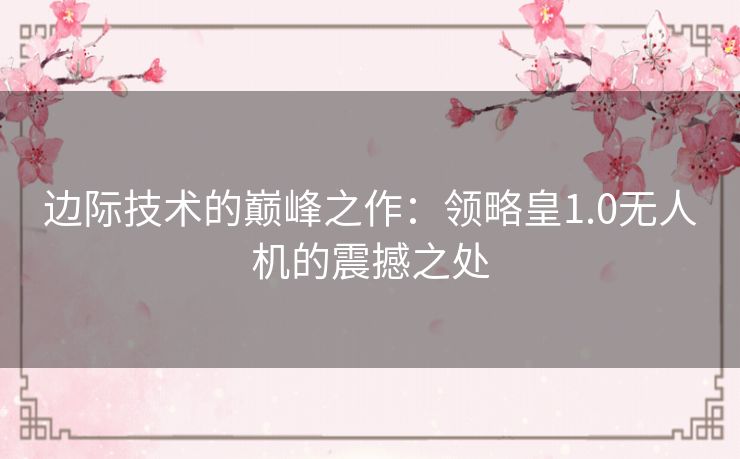 边际技术的巅峰之作：领略皇1.0无人机的震撼之处