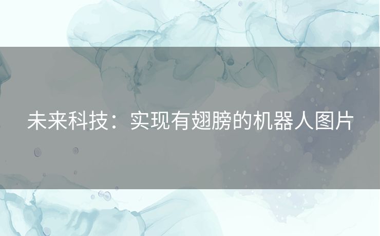 未来科技：实现有翅膀的机器人图片