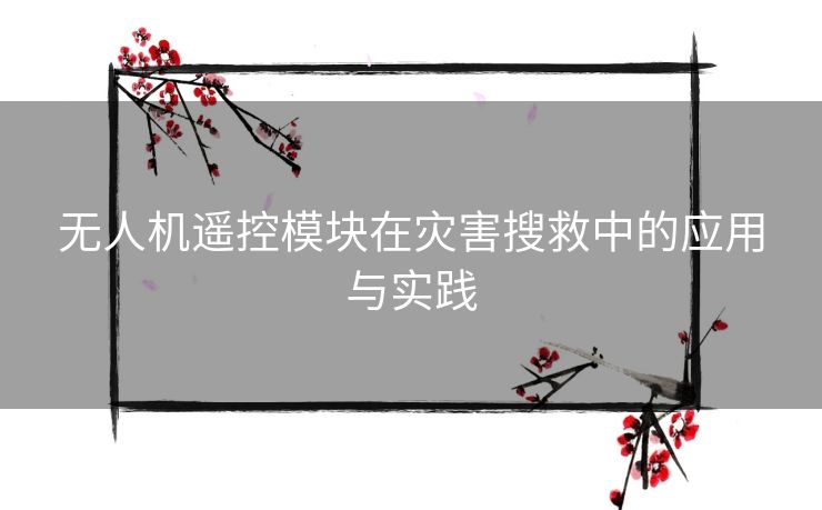 无人机遥控模块在灾害搜救中的应用与实践