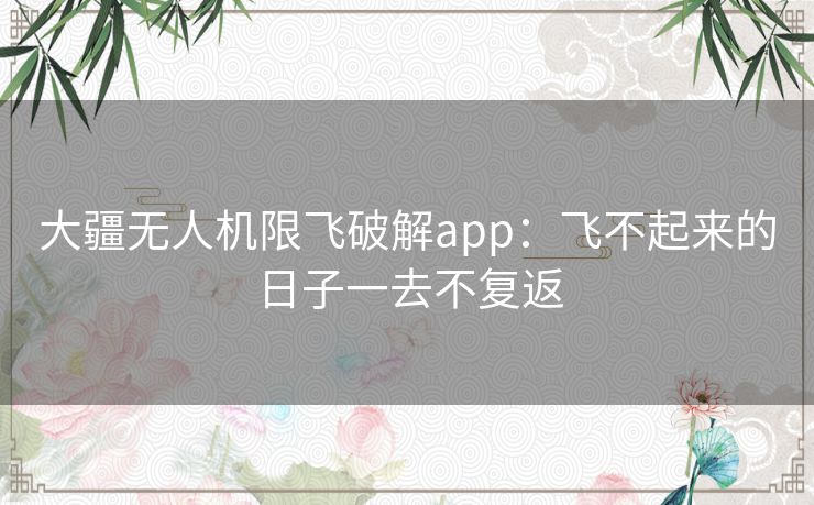 大疆无人机限飞破解app：飞不起来的日子一去不复返