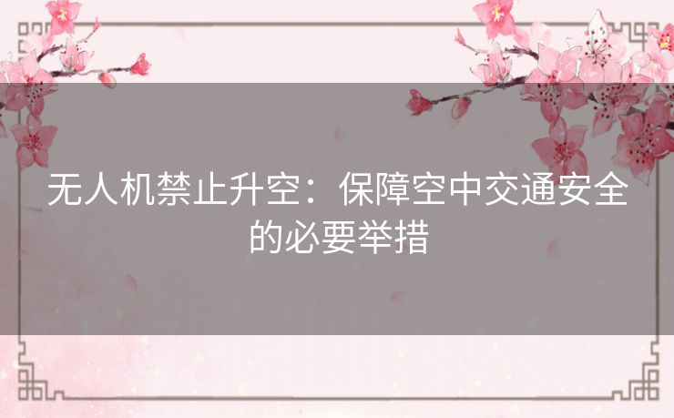 无人机禁止升空：保障空中交通安全的必要举措