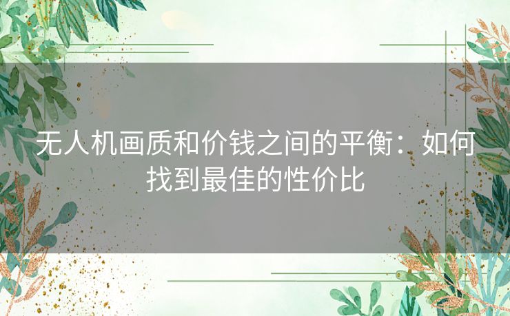 无人机画质和价钱之间的平衡：如何找到最佳的性价比