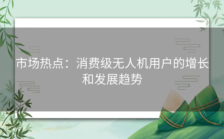 市场热点：消费级无人机用户的增长和发展趋势