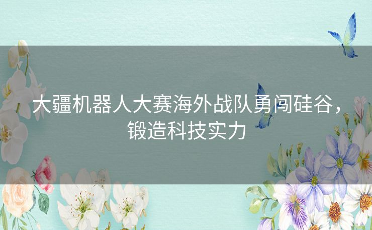 大疆机器人大赛海外战队勇闯硅谷，锻造科技实力