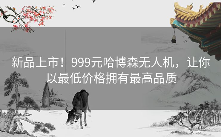 新品上市！999元哈博森无人机，让你以最低价格拥有最高品质