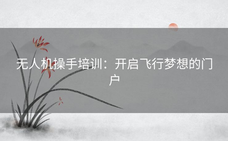 无人机操手培训：开启飞行梦想的门户