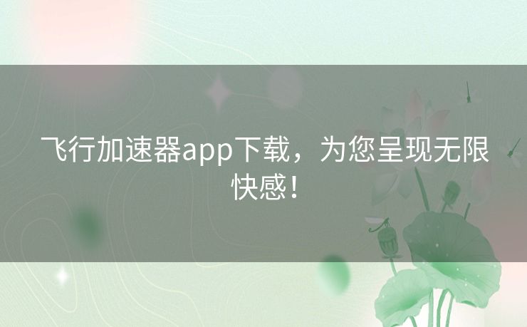 飞行加速器app下载，为您呈现无限快感！