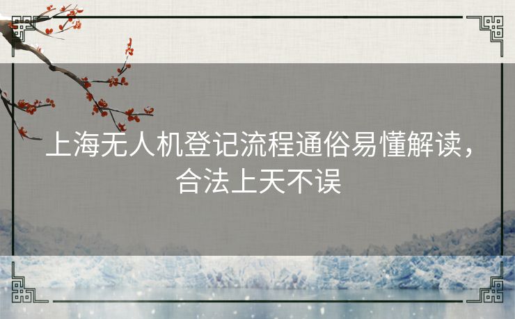 上海无人机登记流程通俗易懂解读，合法上天不误