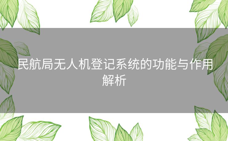 民航局无人机登记系统的功能与作用解析