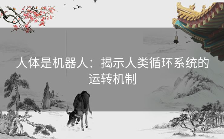 人体是机器人：揭示人类循环系统的运转机制