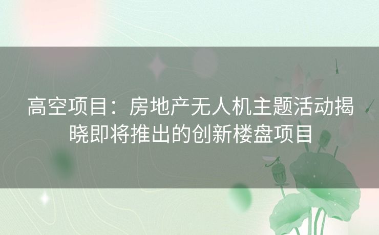 高空项目：房地产无人机主题活动揭晓即将推出的创新楼盘项目