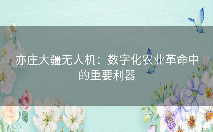 亦庄大疆无人机：数字化农业革命中的重要利器