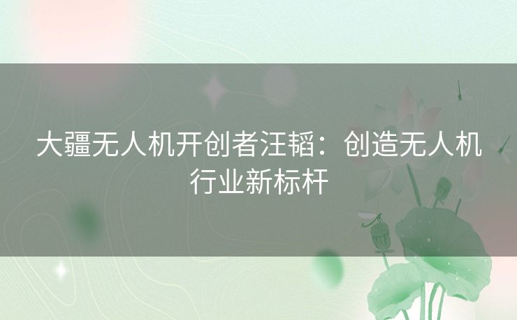 大疆无人机开创者汪韬：创造无人机行业新标杆