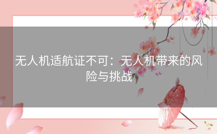 无人机适航证不可：无人机带来的风险与挑战