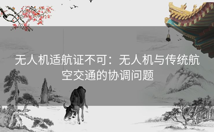 无人机适航证不可：无人机与传统航空交通的协调问题