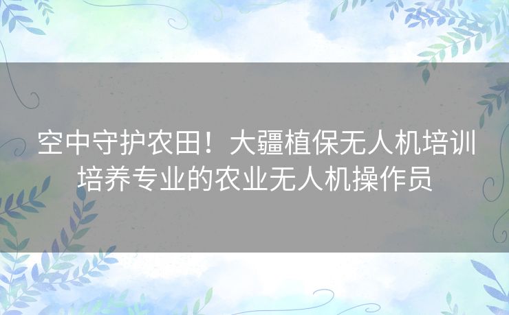 空中守护农田！大疆植保无人机培训培养专业的农业无人机操作员