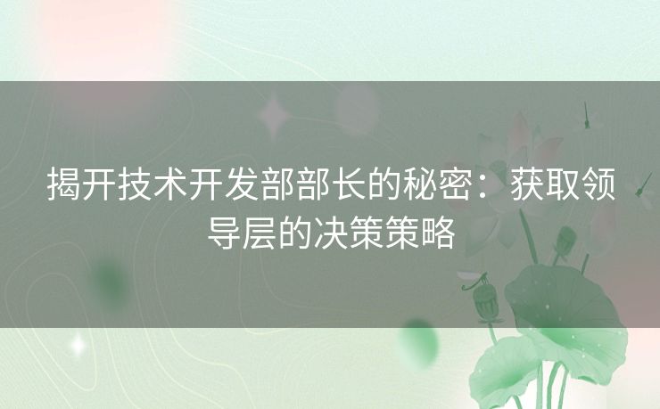 揭开技术开发部部长的秘密：获取领导层的决策策略