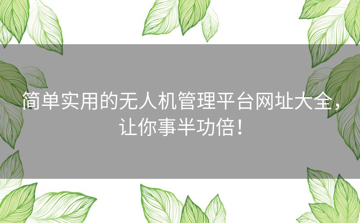 简单实用的无人机管理平台网址大全，让你事半功倍！