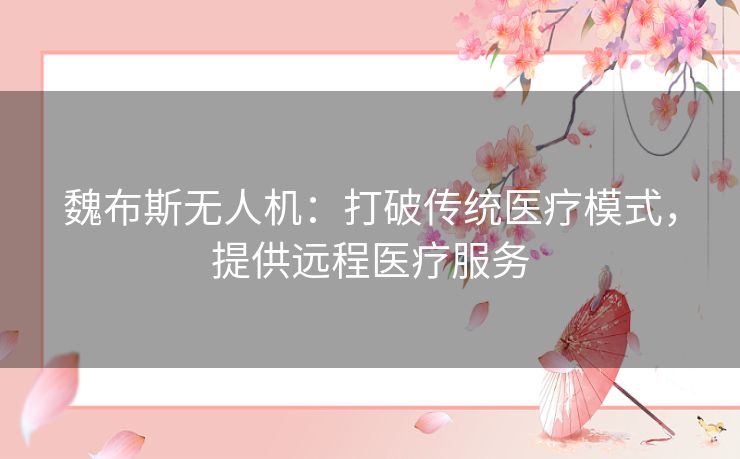 魏布斯无人机：打破传统医疗模式，提供远程医疗服务