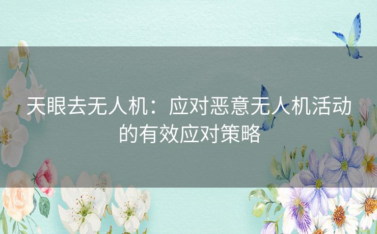 天眼去无人机：应对恶意无人机活动的有效应对策略