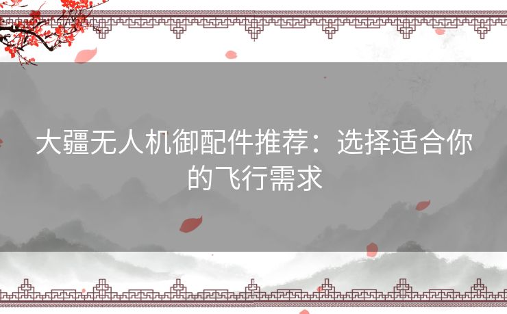 大疆无人机御配件推荐：选择适合你的飞行需求