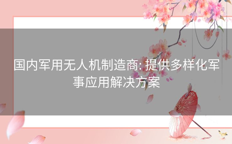 国内军用无人机制造商: 提供多样化军事应用解决方案