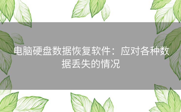 电脑硬盘数据恢复软件：应对各种数据丢失的情况