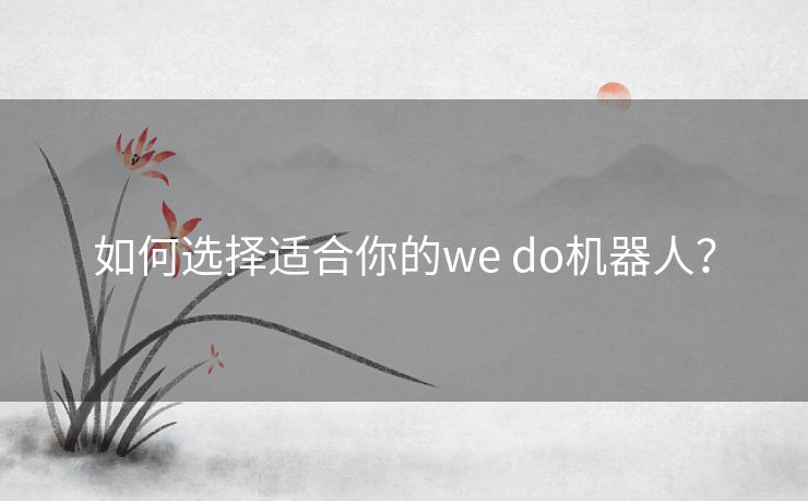 如何选择适合你的we do机器人？