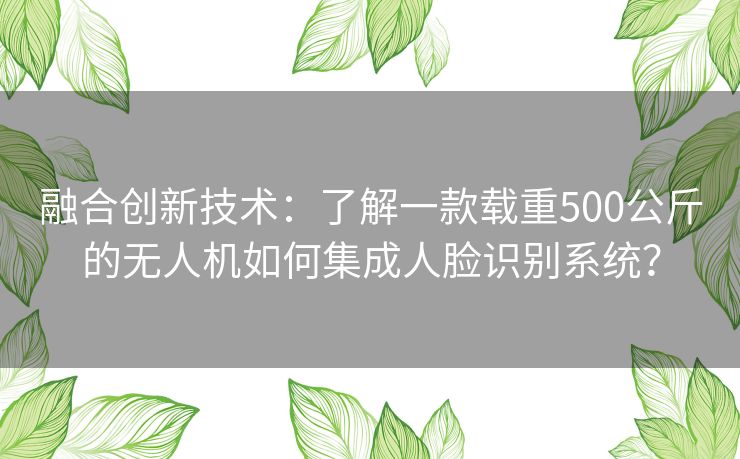 融合创新技术：了解一款载重500公斤的无人机如何集成人脸识别系统？