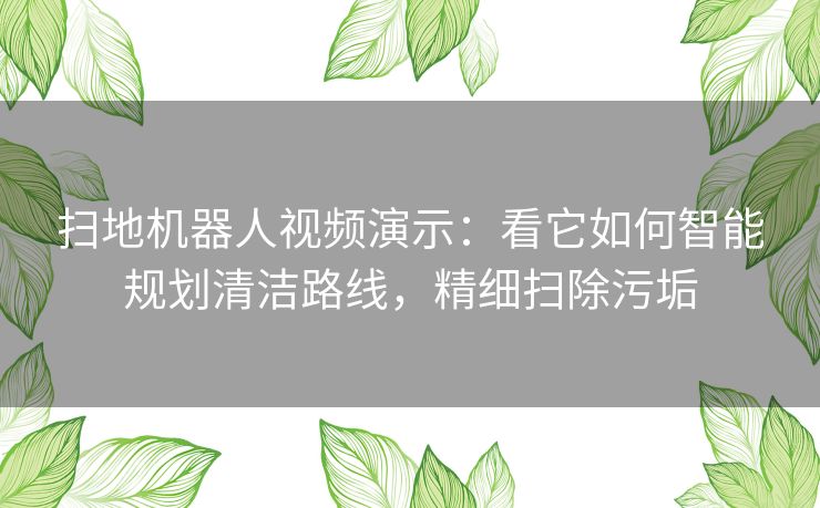 扫地机器人视频演示：看它如何智能规划清洁路线，精细扫除污垢