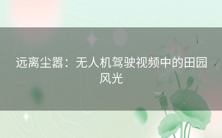 远离尘嚣：无人机驾驶视频中的田园风光