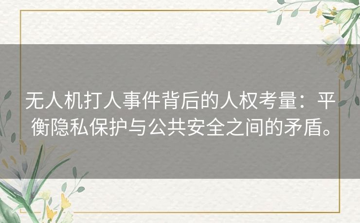 无人机打人事件背后的人权考量：平衡隐私保护与公共安全之间的矛盾。