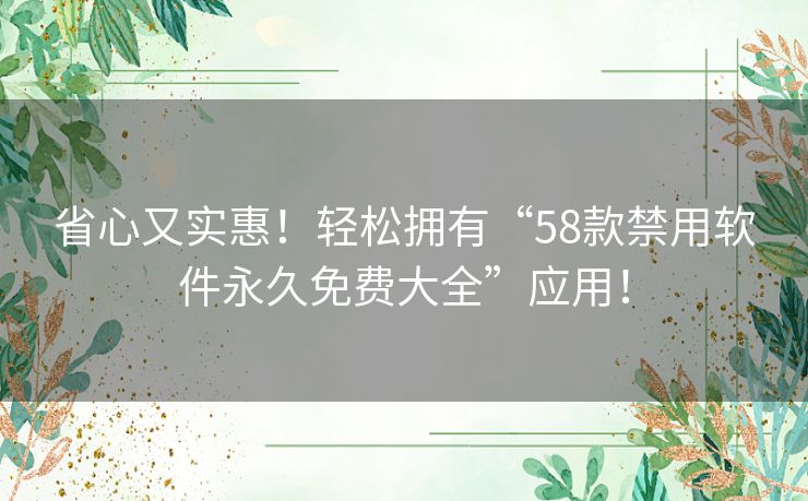 省心又实惠！轻松拥有“58款禁用软件永久免费大全”应用！