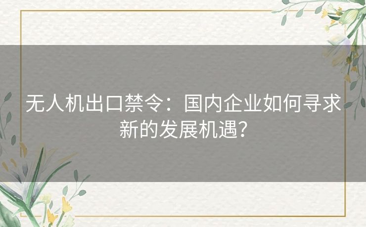 无人机出口禁令：国内企业如何寻求新的发展机遇？