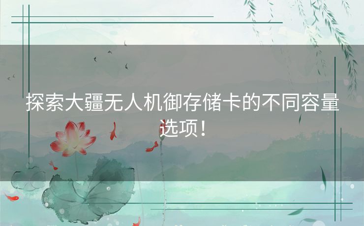 探索大疆无人机御存储卡的不同容量选项！