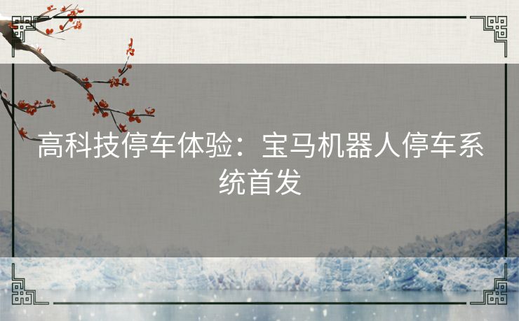 高科技停车体验：宝马机器人停车系统首发