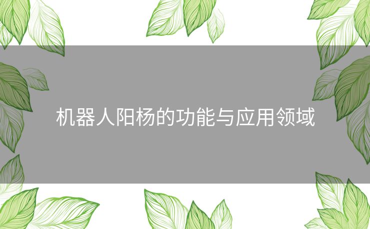 机器人阳杨的功能与应用领域