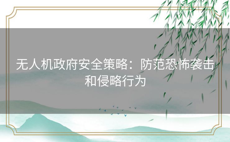 无人机政府安全策略：防范恐怖袭击和侵略行为