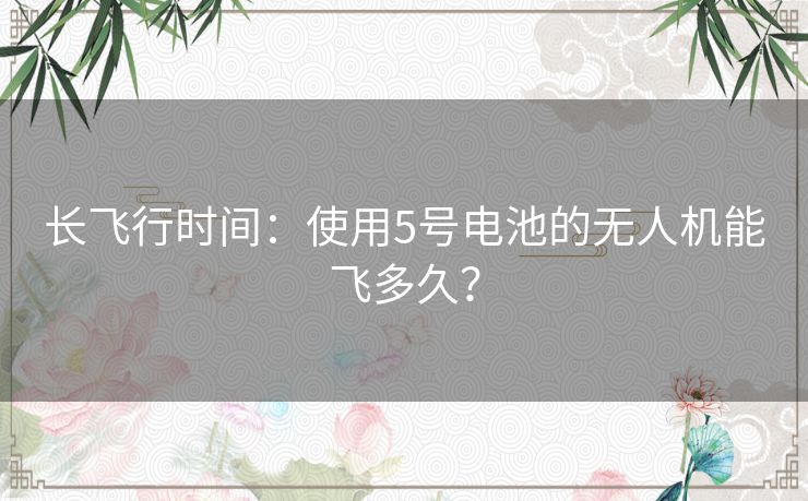 长飞行时间：使用5号电池的无人机能飞多久？