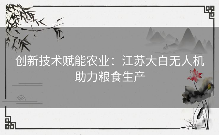 创新技术赋能农业：江苏大白无人机助力粮食生产
