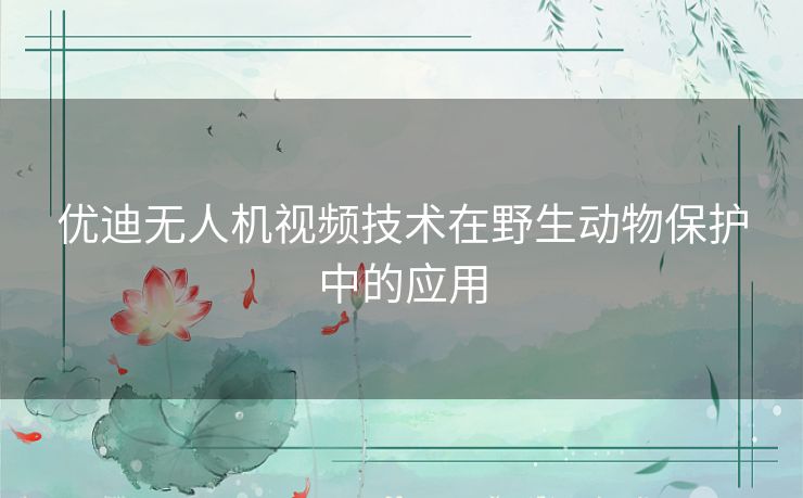 优迪无人机视频技术在野生动物保护中的应用