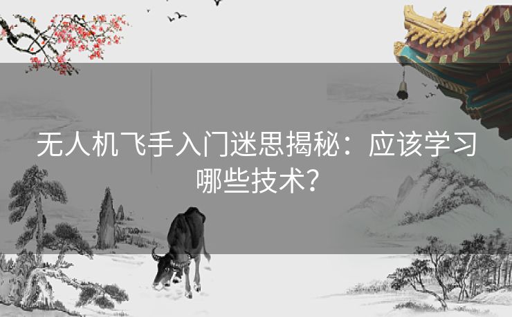 无人机飞手入门迷思揭秘：应该学习哪些技术？