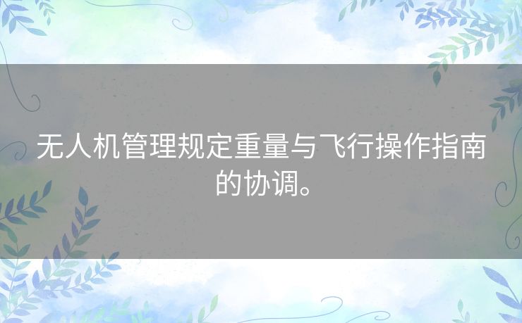 无人机管理规定重量与飞行操作指南的协调。