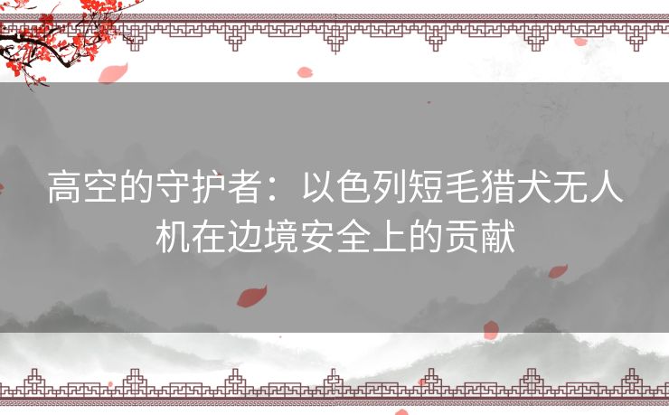 高空的守护者：以色列短毛猎犬无人机在边境安全上的贡献