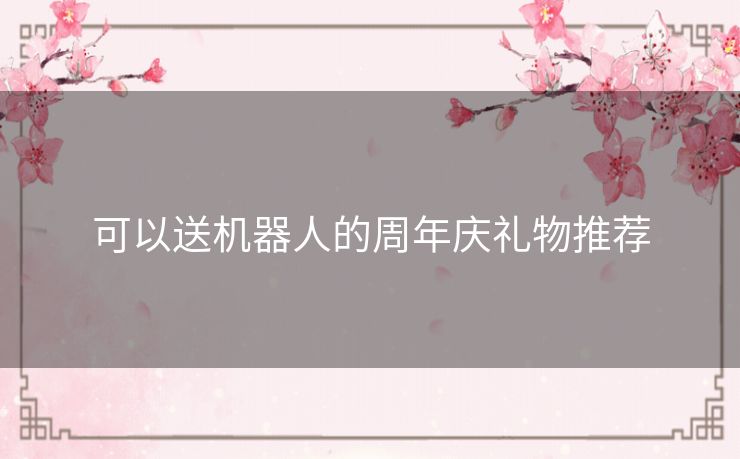 可以送机器人的周年庆礼物推荐