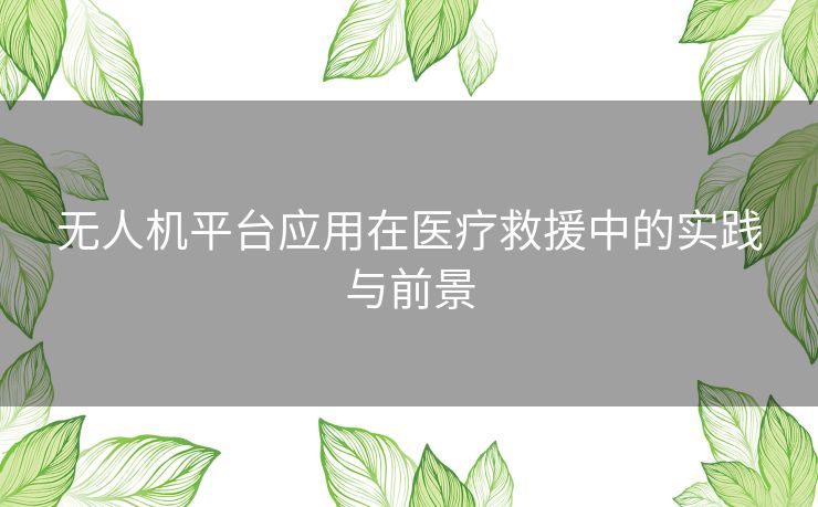 无人机平台应用在医疗救援中的实践与前景