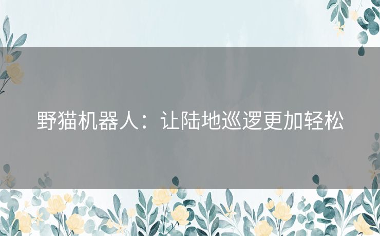 野猫机器人：让陆地巡逻更加轻松