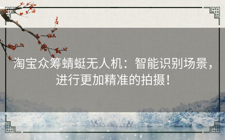 淘宝众筹蜻蜓无人机：智能识别场景，进行更加精准的拍摄！